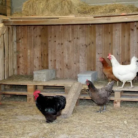 Le Figuier Casa vacanze