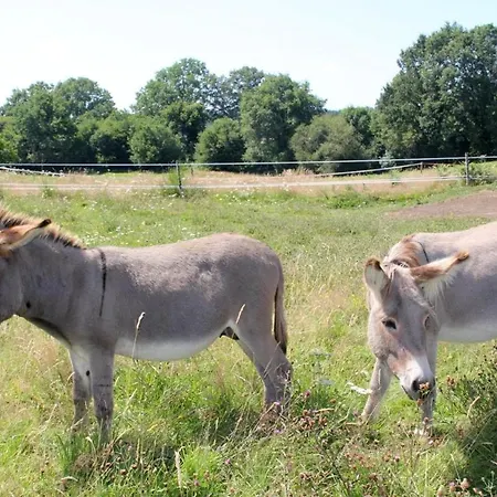 Le Figuier Casa vacanze *